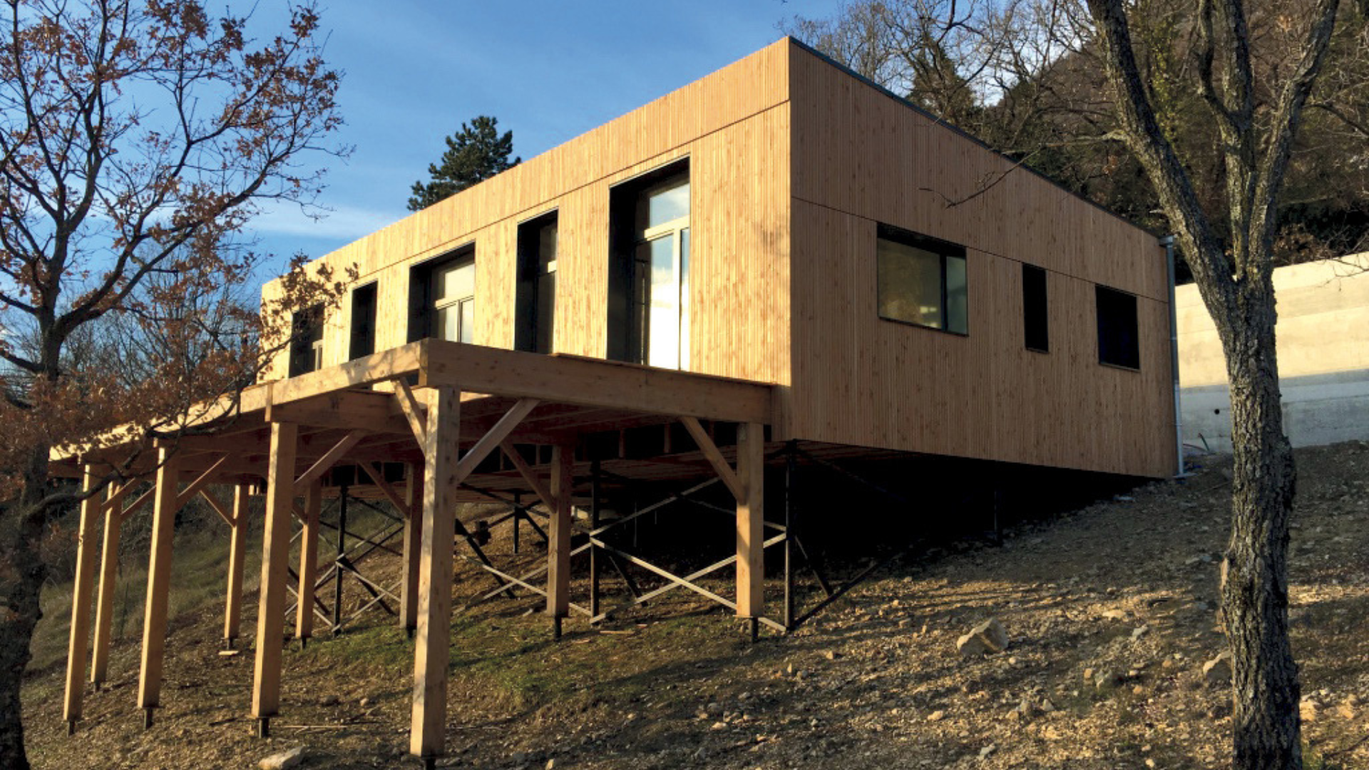 timber frame 2