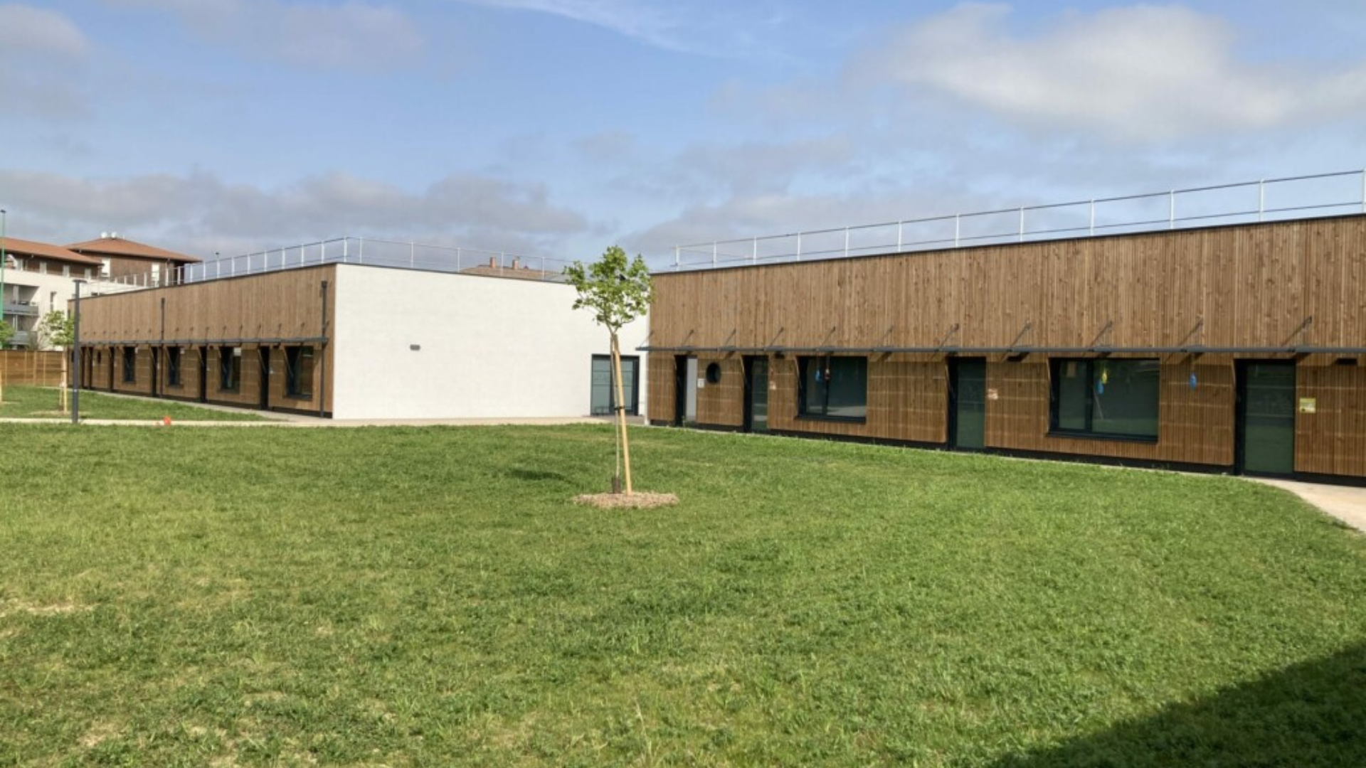 timber frame 4