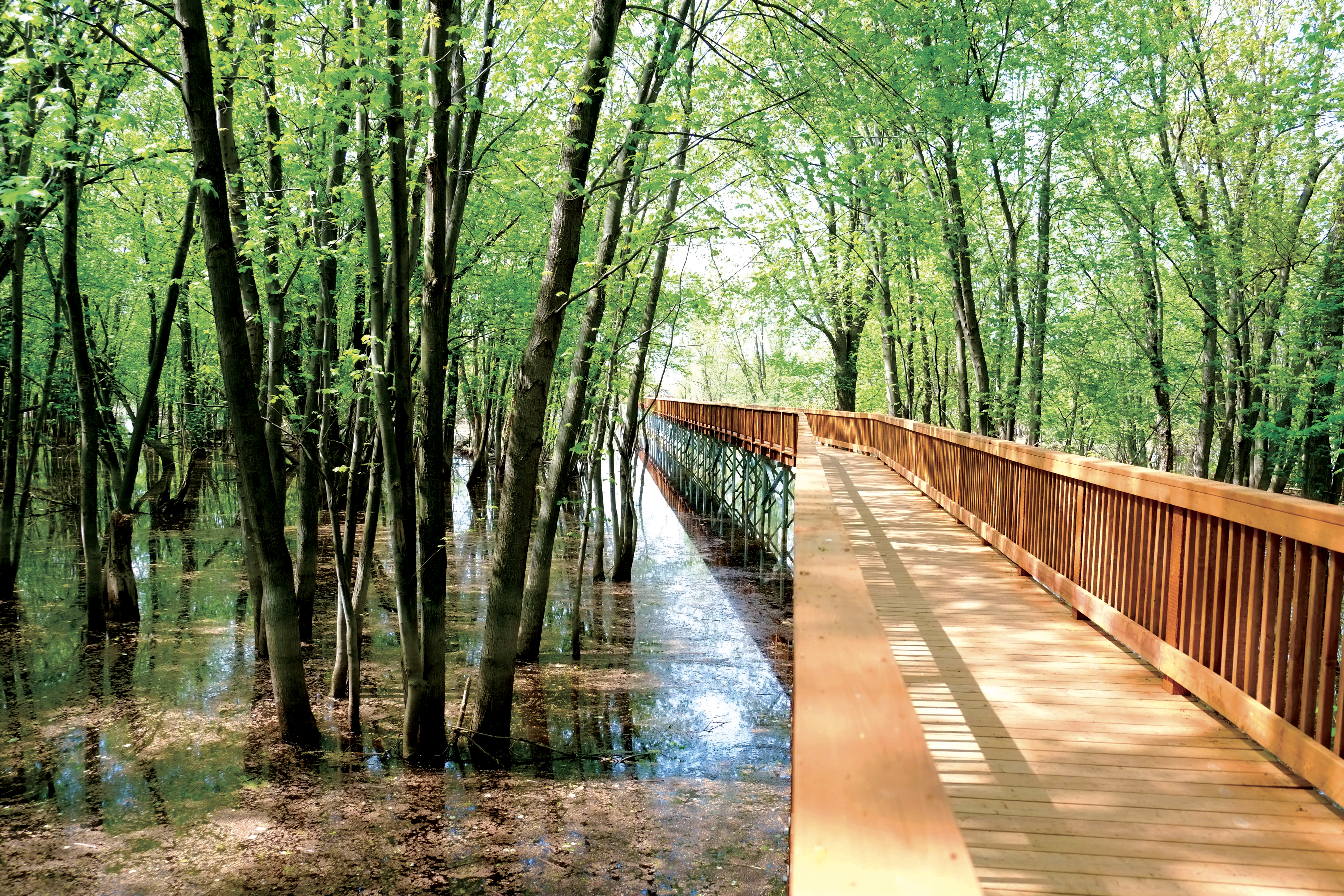 Low Environmental Footprint