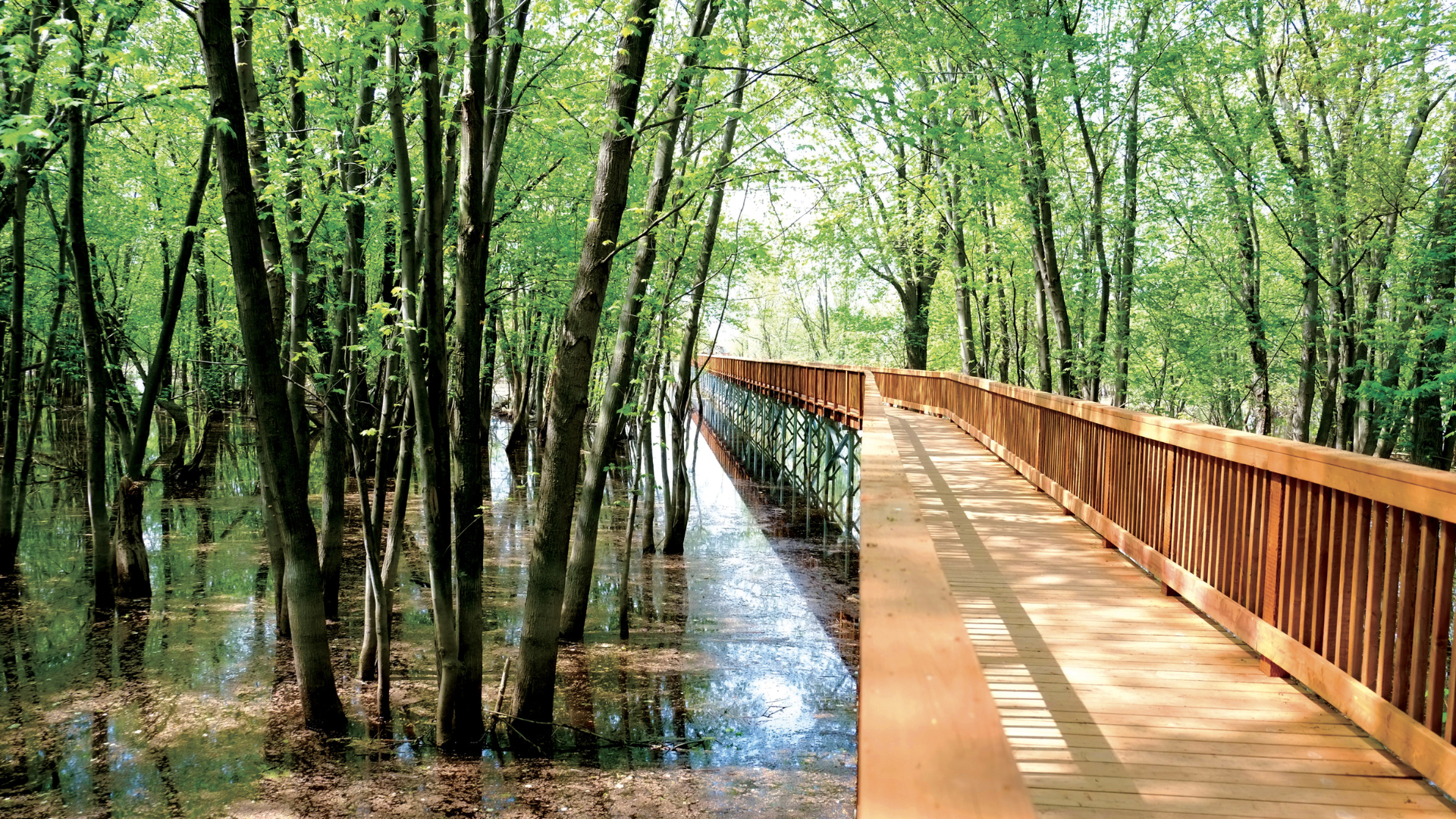 Low Environmental Footprint